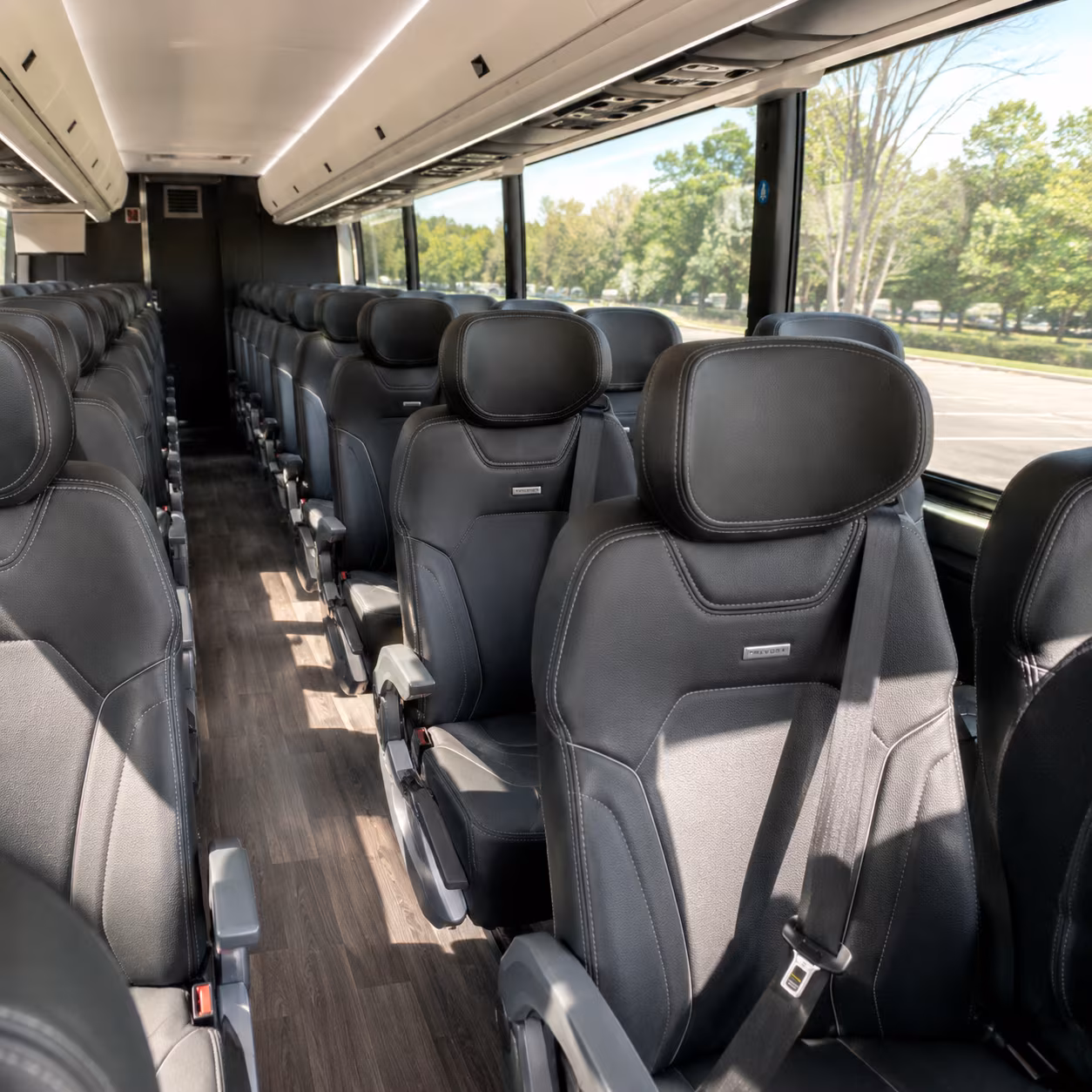 albany private airport transportation without the stress