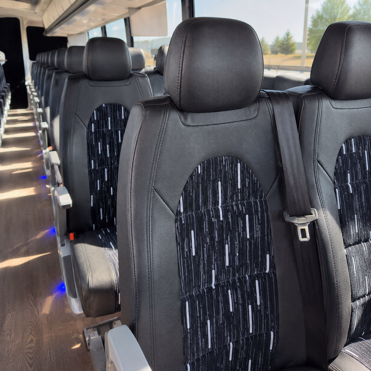 springfield long distance transportation simplified